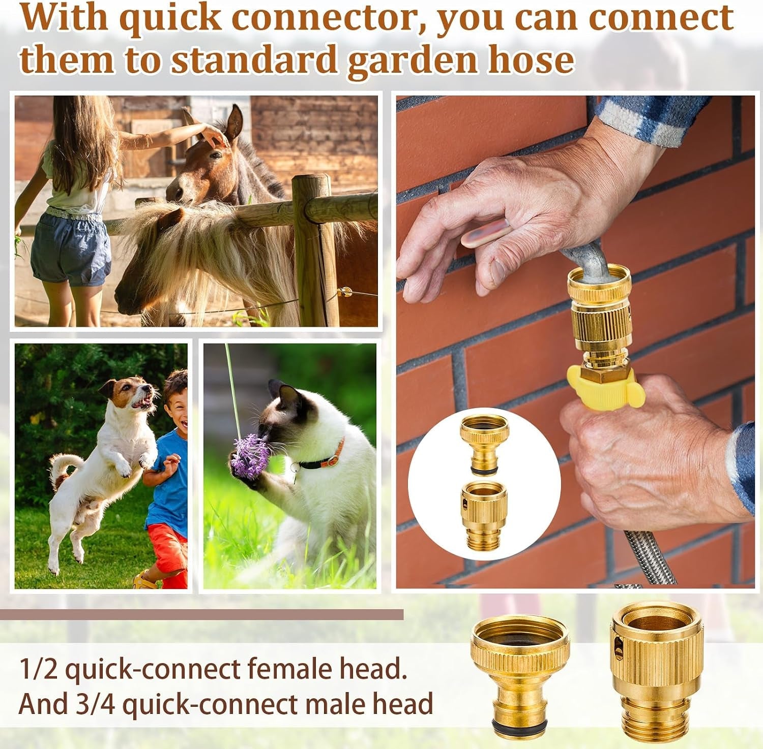 tessco-for-you-2-pack-1-2-gallon-automatic-horse-water-bowl-large-stainless-steel-dog-waterer-dispenser-with-float-valve-automatic-animal-waterer-for-dog-chicken-pig-cattle-goat-farm-4-5l-152-oz