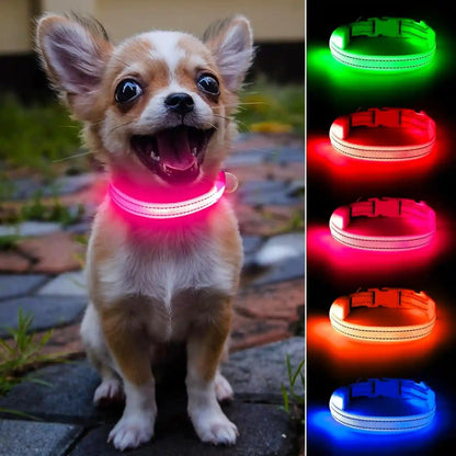Light up Dog Collar for Small Dogs& Cats, Reflective LED Dog Collar Rechargeable Glowing Puppy Collar Safety Dog Lights for Night Walking (Royal Blue)13