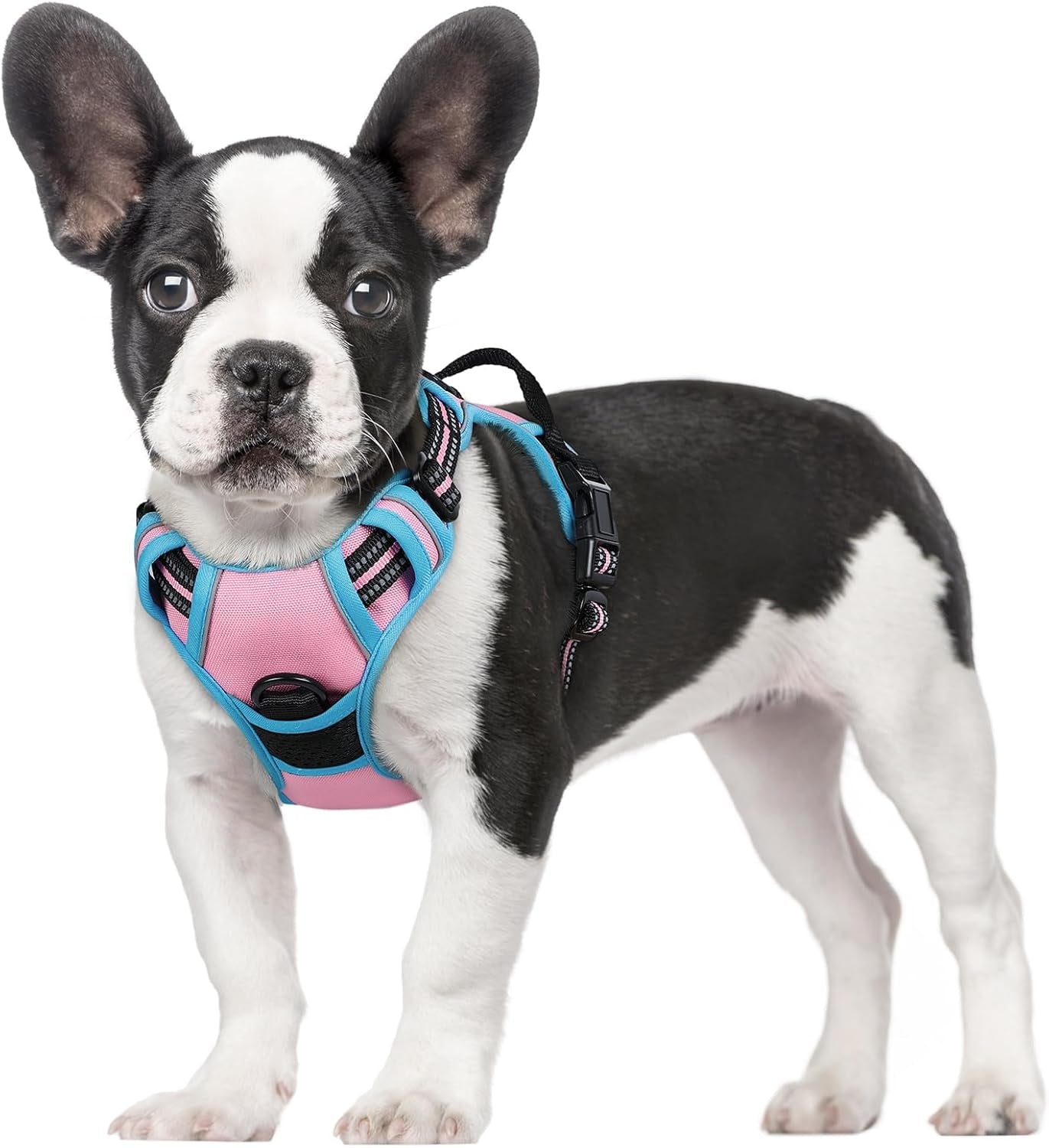 rabbitgoo-dog-harness-no-pull-for-large-dogs-with-2-leash-clips-pet-vest-no-choke-with-handle-adjustable-soft-padded-reflective-easy-control-for-walking-black-large