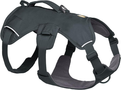 Ruffwear, Web Master, Multi-Use Support Dog Harness, Hiking and Trail Running, Service and Working, Everyday Wear, Basalt Gray, X-Small1