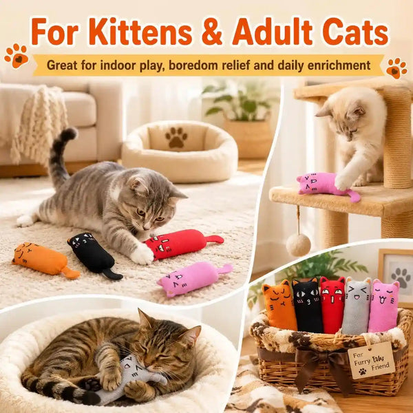Legendog 5Pcs Bite Resistant Catnip Toy for Cats,Catnip Filled Cartoon Mice Cat Teething Chew Toy4