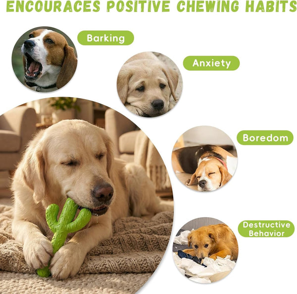 Mewajump Dog Chew Toys, Durable Rubber Dog Toys for Aggressive Chewers, Cactus Tough Toys for Training and Cleaning Teeth, Interactive Dog Toys for Medium/Large Dog6