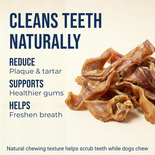 K9Warehouse Bulk Pig Ear Bites for Dogs 100% Pork, Rawhide Alternative, 1Lb | Single Ingredient, No Hormones or Chemicals, Hand-Selected Quality, Sized for Small and Medium Pups, Fights Tartar Buildup3