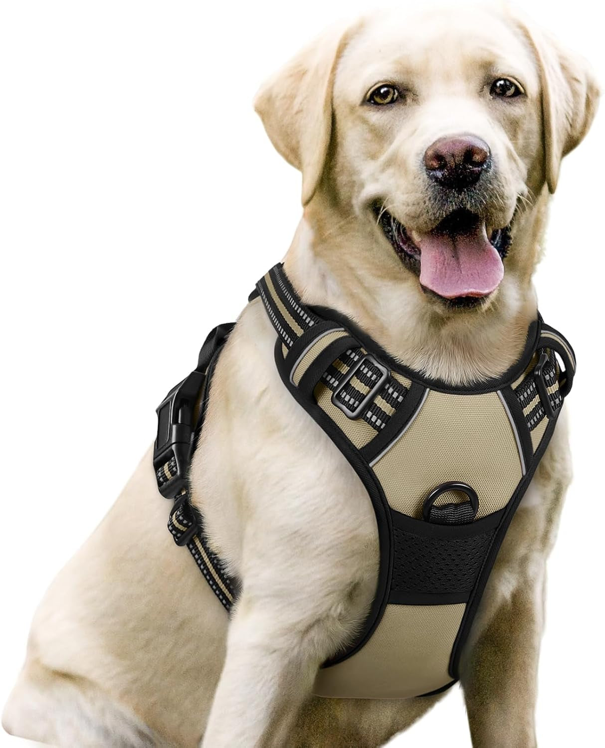 rabbitgoo-dog-harness-no-pull-for-large-dogs-with-2-leash-clips-pet-vest-no-choke-with-handle-adjustable-soft-padded-reflective-easy-control-for-walking-black-large