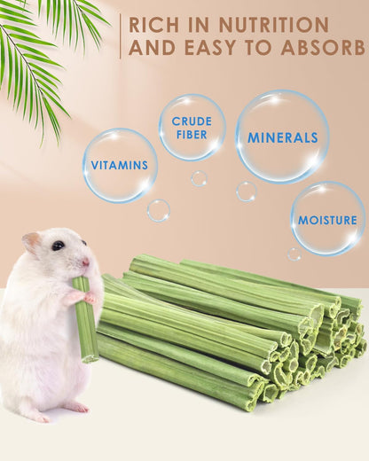 Bissap 35PCS Rabbit Chew Sticks, Natural Papaya Stems Bunny Chews Treats for Rabbit Hamster Chinchilla Guinea Pig Small Animals Organic Molar Chewing Snack2
