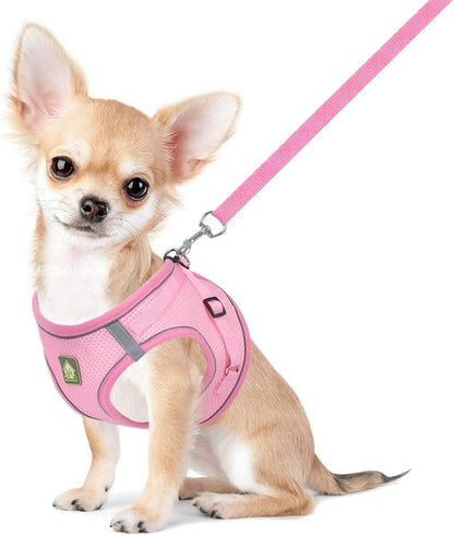 Feimax Dog Harness and Leash Set, No Pull Breathable Soft Mesh Puppy Vest Harness Reflective Adjustable Pet Harnesses for Small Medium Dogs and Cats - Outdoor Easy Control for Walking8
