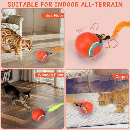 BABORUI 2Pack Interactive Cat Toy Ball - Automatic Interactive Cat Toys for Indoor Cats with 3 Tails, 2 Speeds Rechargeable Enrichment for Small/Medium/Large to Keep Them Busy6