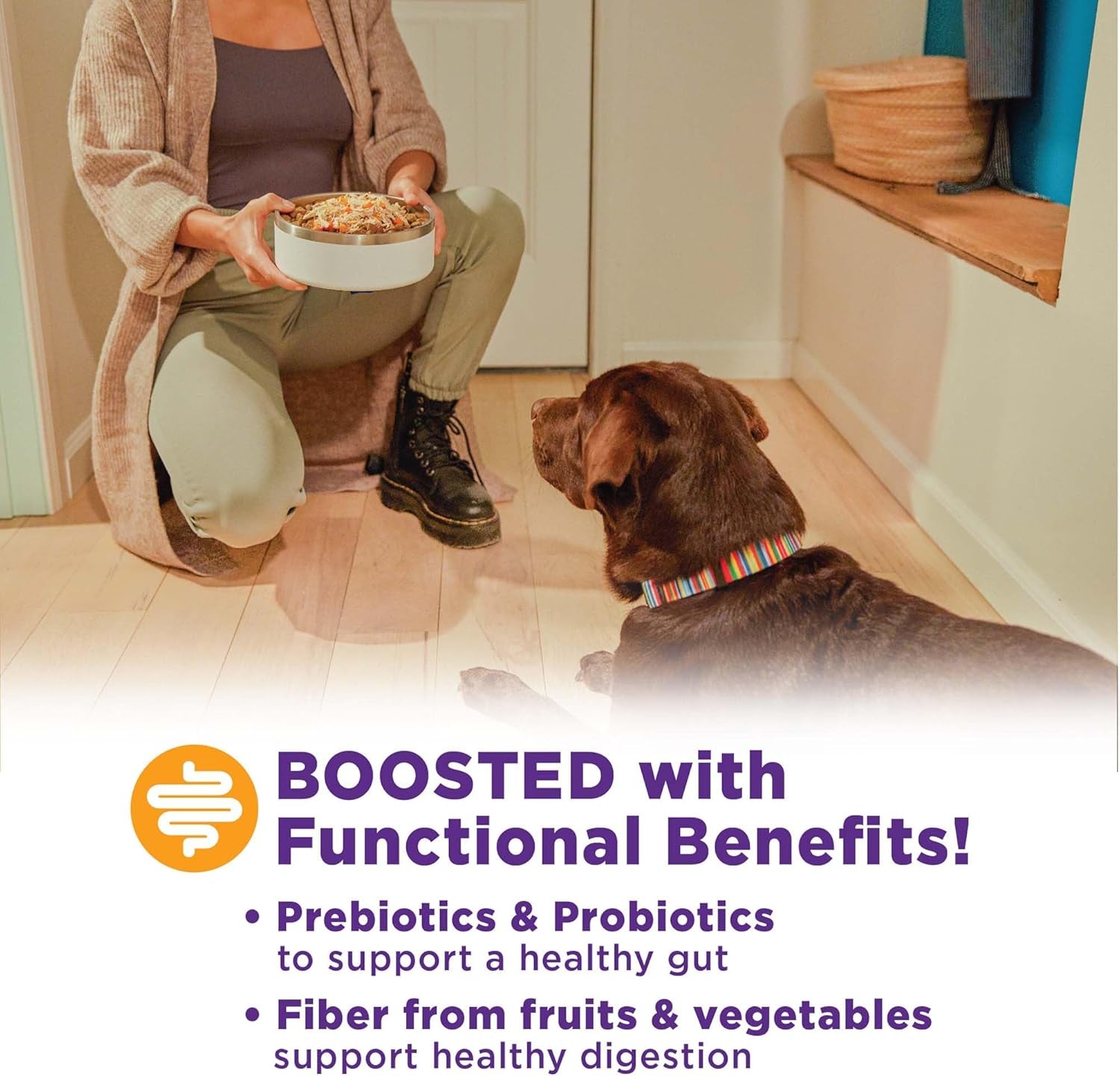 wellness-bowl-boosters-digestive-health-dog-food-topper-with-freeze-dried-pieces-for-small-medium-and-large-breeds-sensitive-stomach-grain-free-natural-chicken-recipe-4-oz-bag