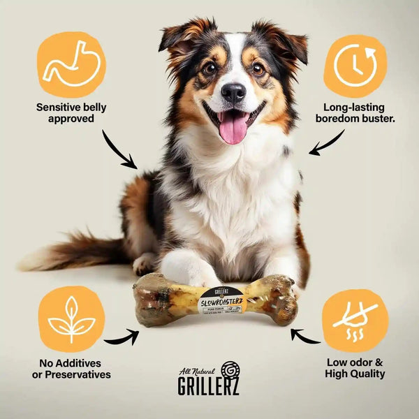 Grillerz Pork Femur Bone, Rawhide-Free, 1 Count | an All-Natural, Rawhide-Free Chew That'S Long-Lasting and Helps Support Healthy Teeth, for Dogs2