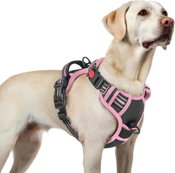 Rabbitgoo Dog Harness Medium Sized, Updated Easy on & off with 3 Buckles | No Pull No Choke, Walking with 2 Clips and Handle, Adjustable Soft Reflective, Blue, Medium71