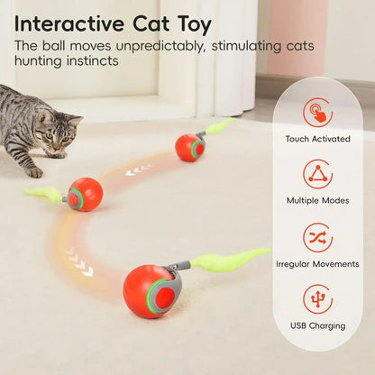Potaroma Moving Ball Cat Toys with Feather Tail, Rechargeable | 2026 New Interactive Toy for Indoor Cats Exercise, Smart Interactive Kitten Rolling Ball, Orange2