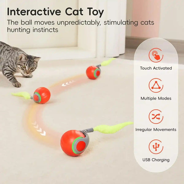 Potaroma Moving Ball Cat Toys with Feather Tail, Rechargeable | 2026 New Interactive Toy for Indoor Cats Exercise, Smart Interactive Kitten Rolling Ball, Orange2