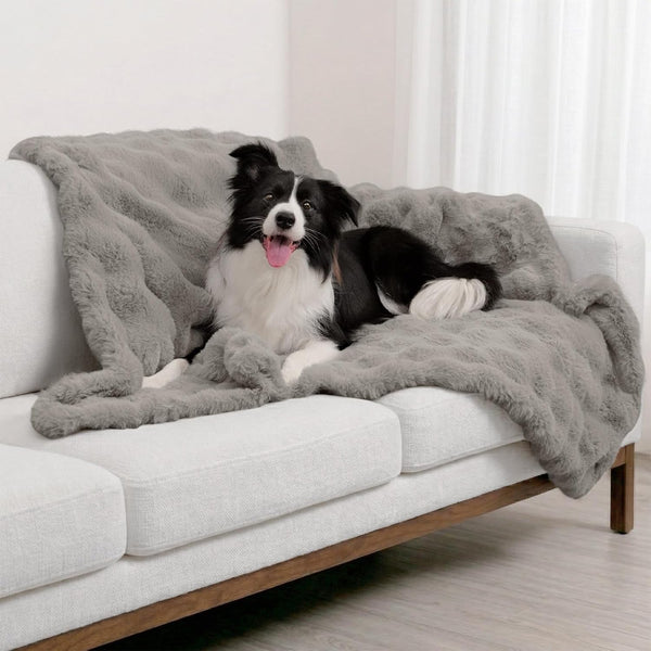 Paw Inspired Waterproof Dog Blanket, 40X30 Inch Size, Beige | Soft Faux Fur Throw, Fur-Resistant Fleece, Washable Pet Blanket, Waterproof Protection for Couch, Bed, Furniture, Crate, Car9