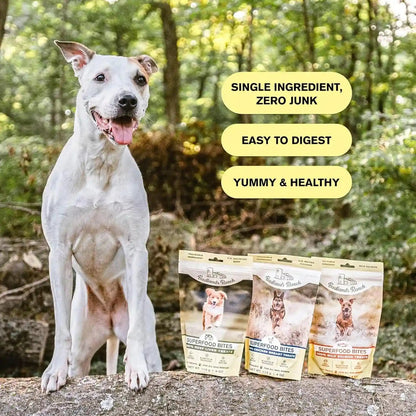 BADLANDS RANCH by Katherine Heigl – Superfood Bite Freeze-Dried Raw Beef Liver Dog Treats – High Protein Single-Ingredient Snacks for Training, Rewards & Daily Wellness6