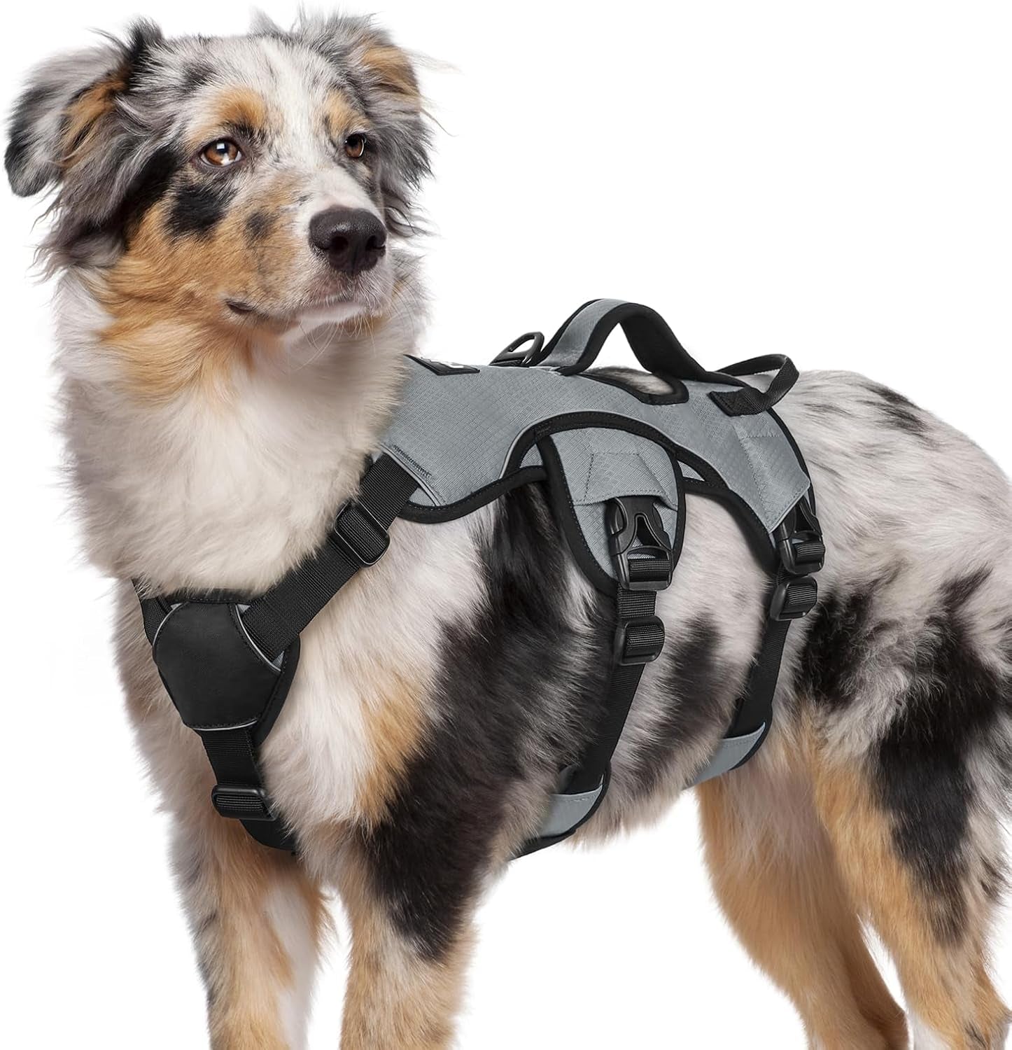 rabbitgoo-escape-proof-dog-harness-for-large-no-pull-with-lift-handle-no-escape-full-soft-padded-reflective-adjustable-vest-leash-clip-for-walking-hiking-training-black-large