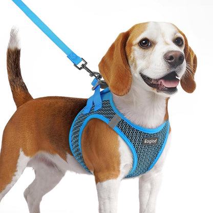 Eagloo Small Dog Harness and Leash Set, Step in Small Sized Puppy Pet Vest | Light, Soft, Breathable Air Mesh, Easy on and off with Hook & Loop, Reflective for Safe Walking, Pink, S56