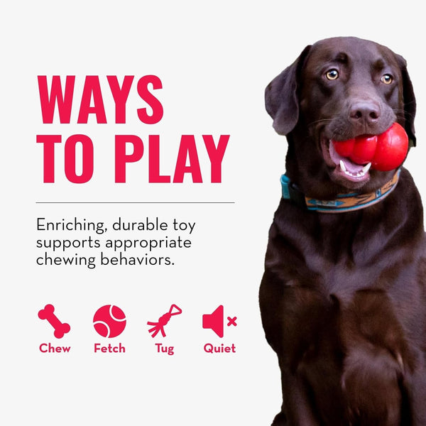 KONG Extreme Ring - Durable Natural Rubber Ring Toy for Healthy Chewing Habits - Chew Toy Supports Dog Dental Health - Dog Toy Supports Instincts during Playtime - for XL Dogs5