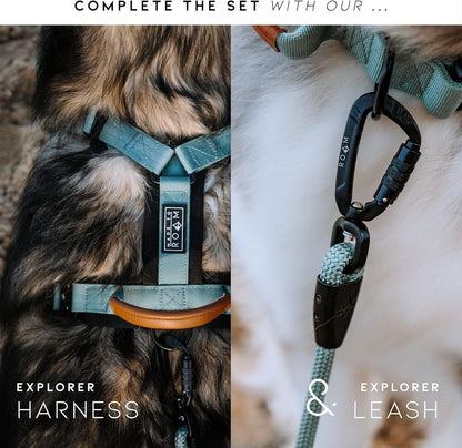 MADE to ROAM Control Dog Collar | Leather Handle & Heavy Duty Metal Buckle | Premium Adjustable Collar with Vegan Leather Handle. Fits Medium to Large Dogs. 15 Colors. Matching Leash & Harness7