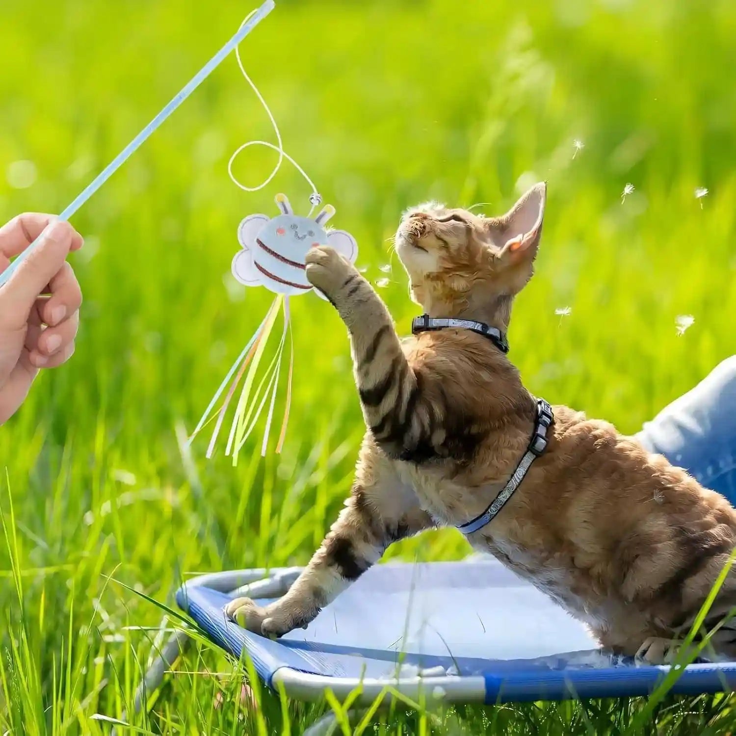 nowfresh-cat-wand-toy-set-2-pcs-interactive-cat-teaser-wands-with-cute-bee-mouse-designs-equipped-with-bells-and-streamers-to-captivate-your-cat-s-attention