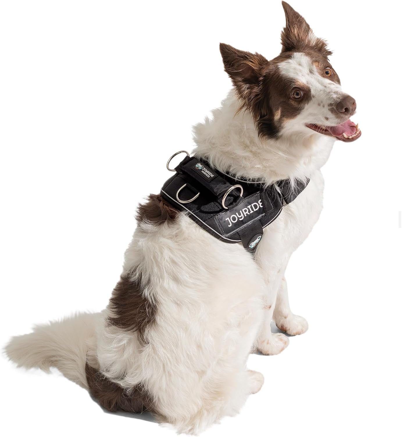 joyride-dog-harness-2-0-no-pull-blue-2-0-m-reflective-no-choke-quick-fit-vest-with-3-leash-clips-and-escape-resistant-design-for-easier-walks-and-training