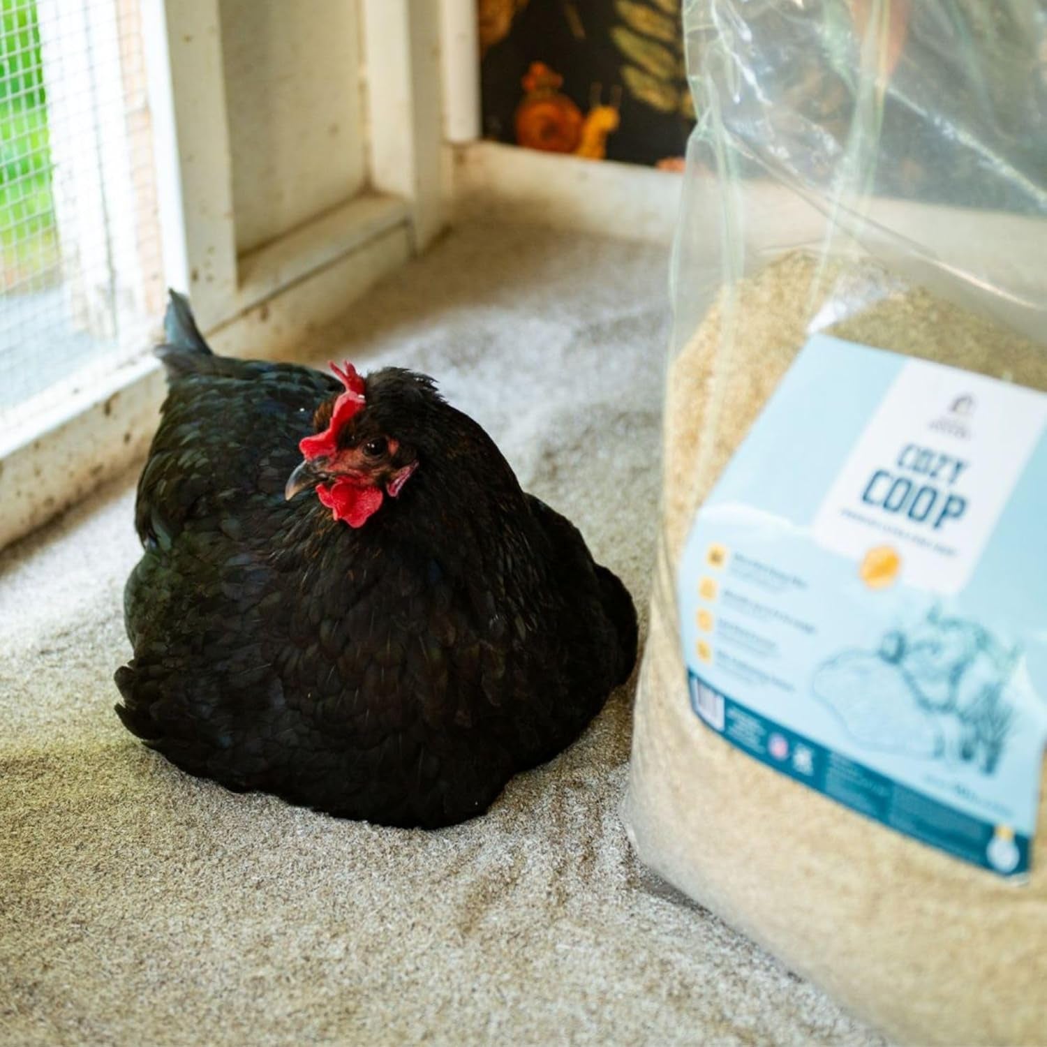 cozy-coop-siftable-no-dust-hemp-bedding-10lb-made-in-usa-super-fine-low-dust-highly-absorbent-reduces-coop-odor-ideal-for-deep-litter-nesting-boxes-brooders