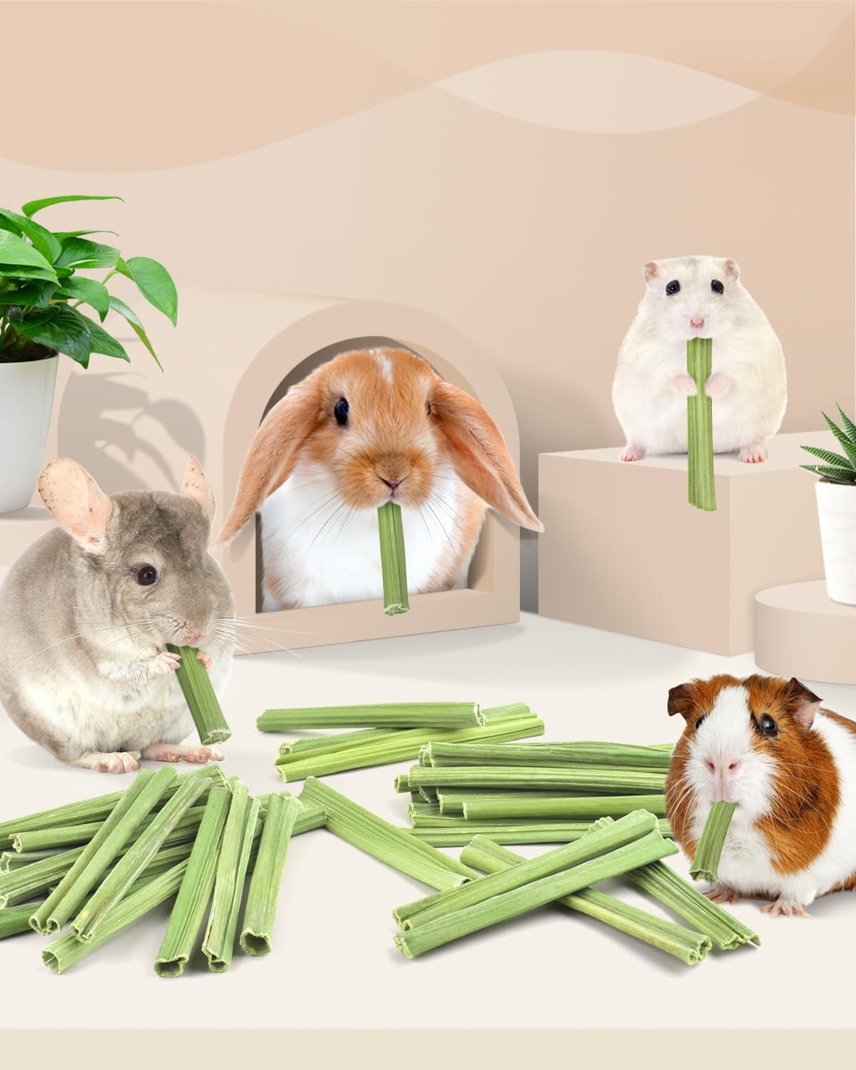bissap-35pcs-rabbit-chew-sticks-natural-papaya-stems-bunny-chews-treats-for-rabbit-hamster-chinchilla-guinea-pig-small-animals-organic-molar-chewing-snack