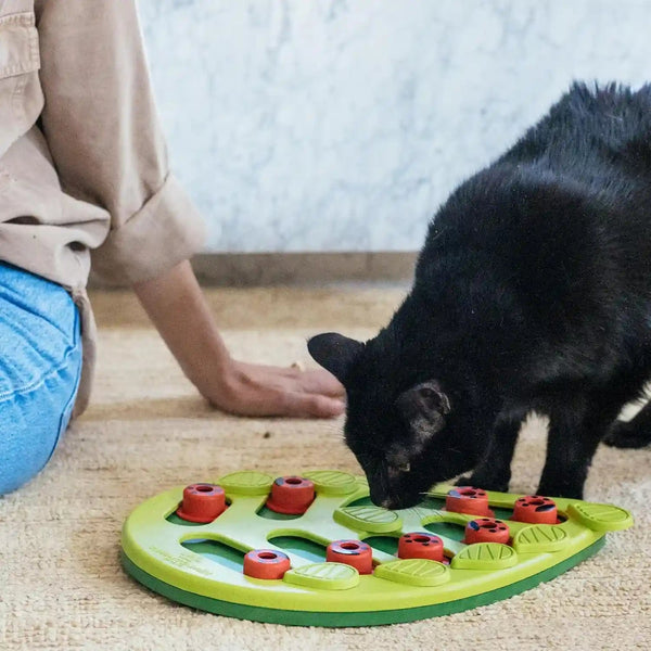 Catstages Nina Ottosson Buggin’ Out Puzzle & Play Cat Puzzle Feeder – Interactive Treat Game for Indoor Cats, Level 2 Slow Feeder Enrichment Toy, 13.9" X 11.5"8