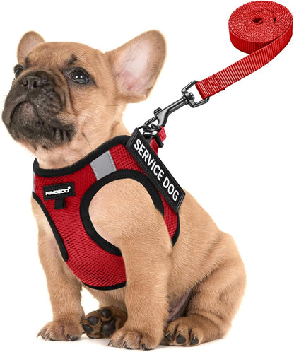 FAYOGOO Service Dog Vest for Small Dogs - Lightweight Dog Harness with 6PCS Removable Patches - Puppy Harness and Leash Set for Walking,Training1