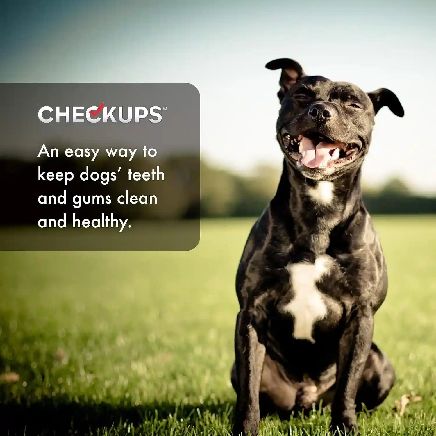 checkups-dental-dog-treats-24-treats-48-oz