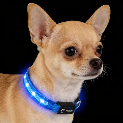 Super Bright LED Dog Collar, Waterproof Light up Collars(Green, Medium) | Lighted Dog Collar with Adjustable Fit, Soft Nylon Comfort, USB-C Rechargeable, Glow in the Dark Visibility for Night Walks10