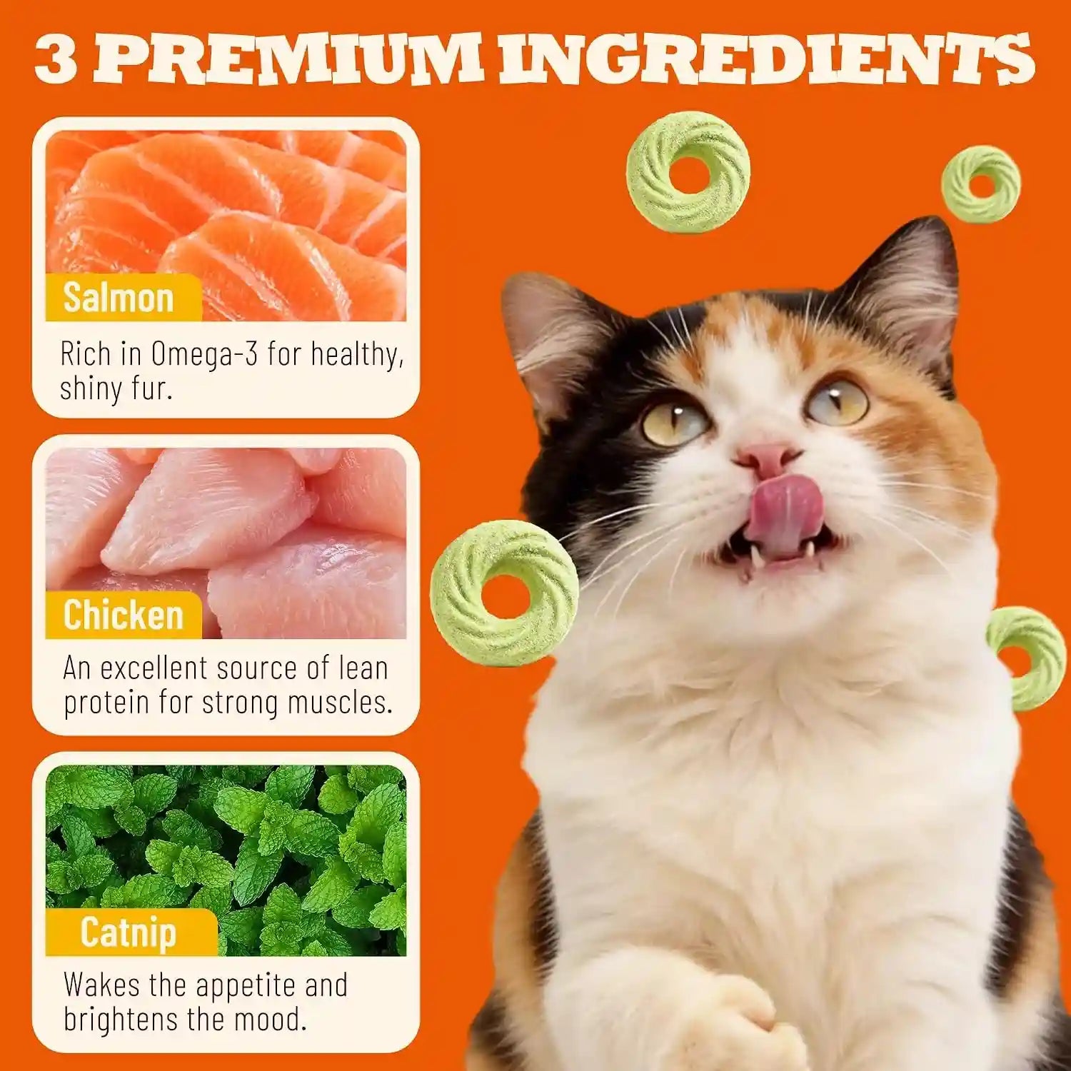 9-oz-catnip-cat-treats-with-vitamins-teeth-cleaning-training-all-natural-chicken-salmon-catnip-barley-grass-crunchy-cleans-teeth-freshens-breath-helps-hairballs-digestion