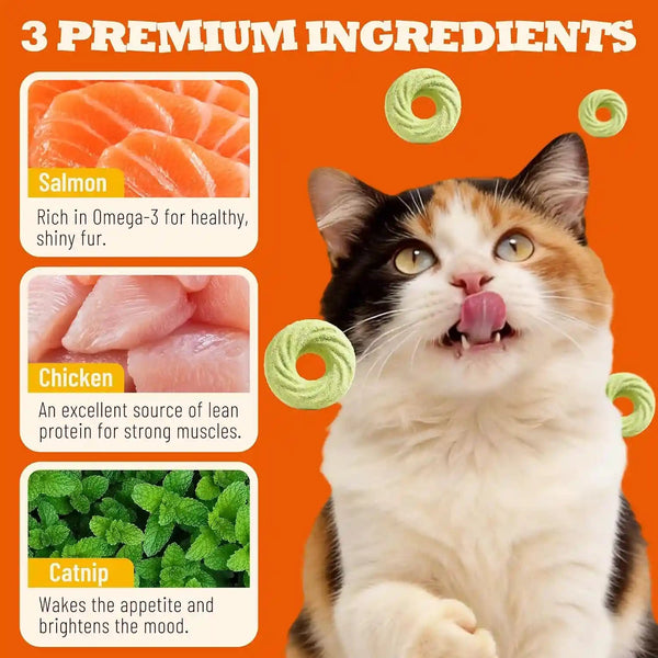 9 Oz Catnip Cat Treats with Vitamins, Teeth Cleaning & Training | All-Natural Chicken, Salmon, Catnip & Barley Grass. Crunchy Cleans Teeth, Freshens Breath. Helps Hairballs & Digestion.3