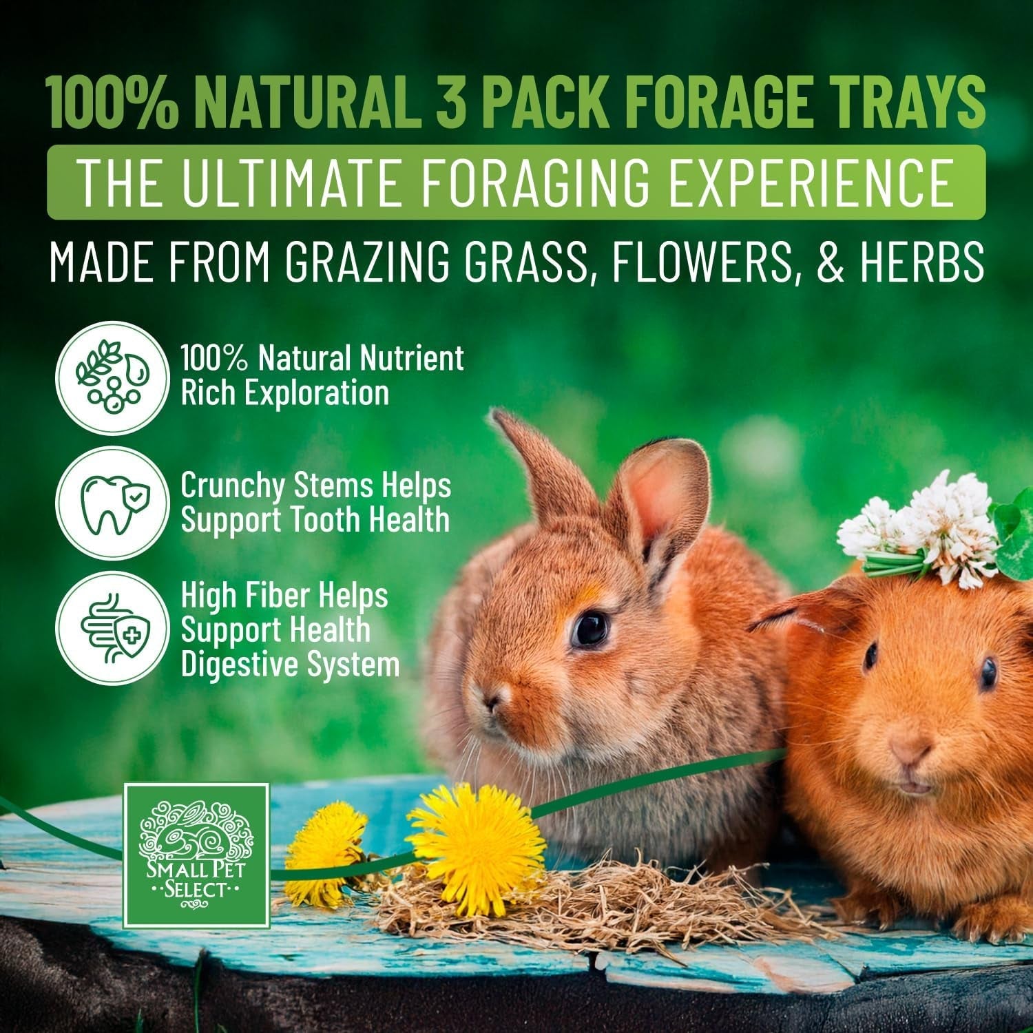 small-pet-select-forage-tray-bundle-rabbits-guinea-pigs-3-pack-dandelion-flower-herb-mix-2-5-oz-each-natural-foraging-enrichment-for-rabbits-guinea-pigs-small-pets
