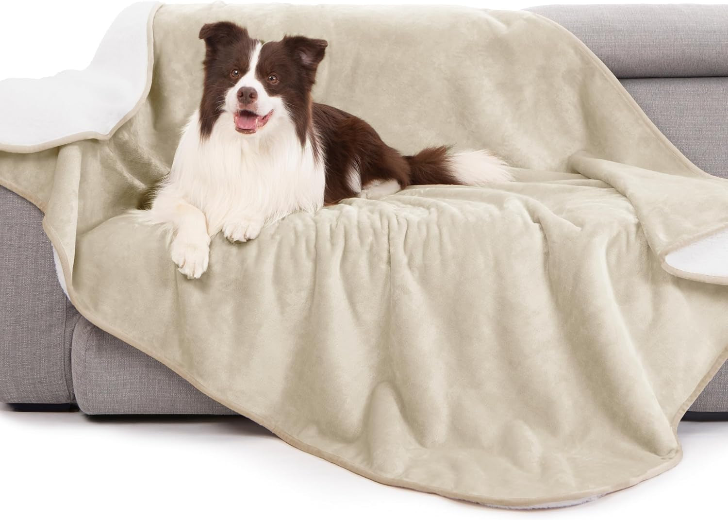 gogobunny-waterproof-bed-blanket-reversible-sherpa-fleece-throw-blanket-for-dog-puppy-cat-furniture-cover-protects-bed-couch-sofa-from-liquid-pee-and-pet-fur-dark-purple-50x60-inches