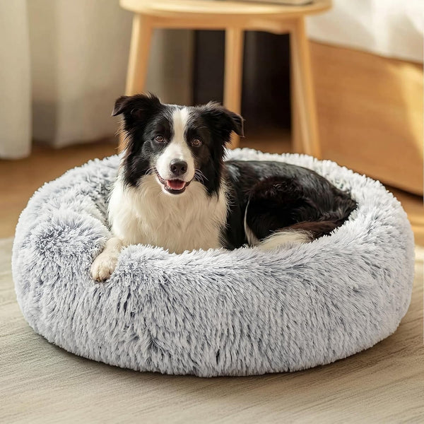JOLLYVOGUE Small Dog Bed, Calming Soft Anti-Anxiety Donut Cat Bed, Washable round Fluffy Cushion for Small and Medium Pets (20")19
