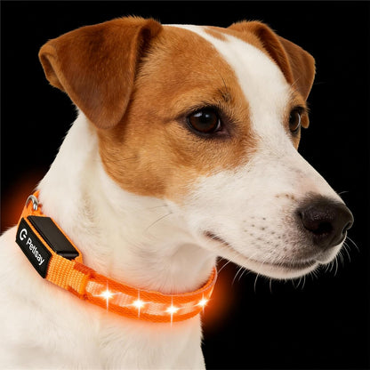 Super Bright LED Dog Collar, Waterproof Light up Collars(Green, Medium) | Lighted Dog Collar with Adjustable Fit, Soft Nylon Comfort, USB-C Rechargeable, Glow in the Dark Visibility for Night Walks16