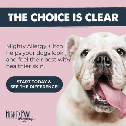Mighty Paw Dog Allergy Chews, Itch Relief & Immune Support, 120Ct | Bacon Flavor, Supports Normal Immune Health, Seasonal Skin Support, Vet Formulated, Made in USA9