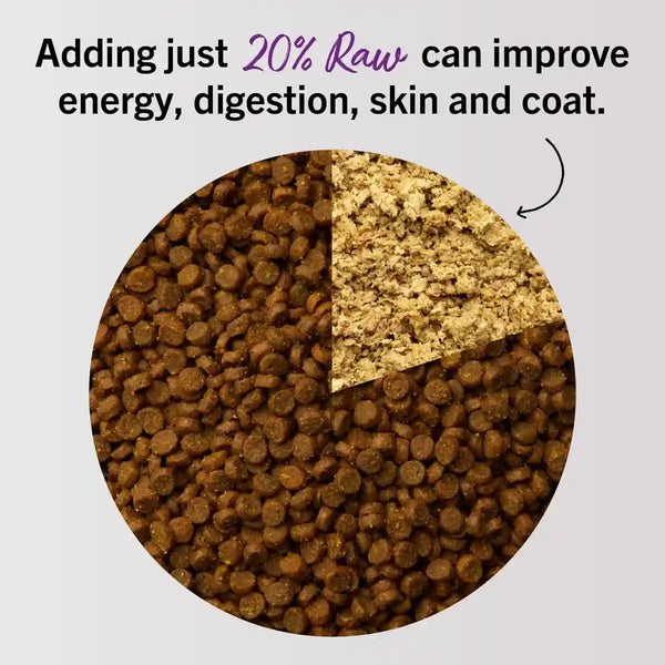 Stella & Chewy'S Freeze-Dried Raw Cat Dinner Morsels - Premium Chicken Recipe with 98% Cage-Free Meat & Organs - Natural Grain-Free Cat & Kitten Food - Made in USA - 18 Oz5
