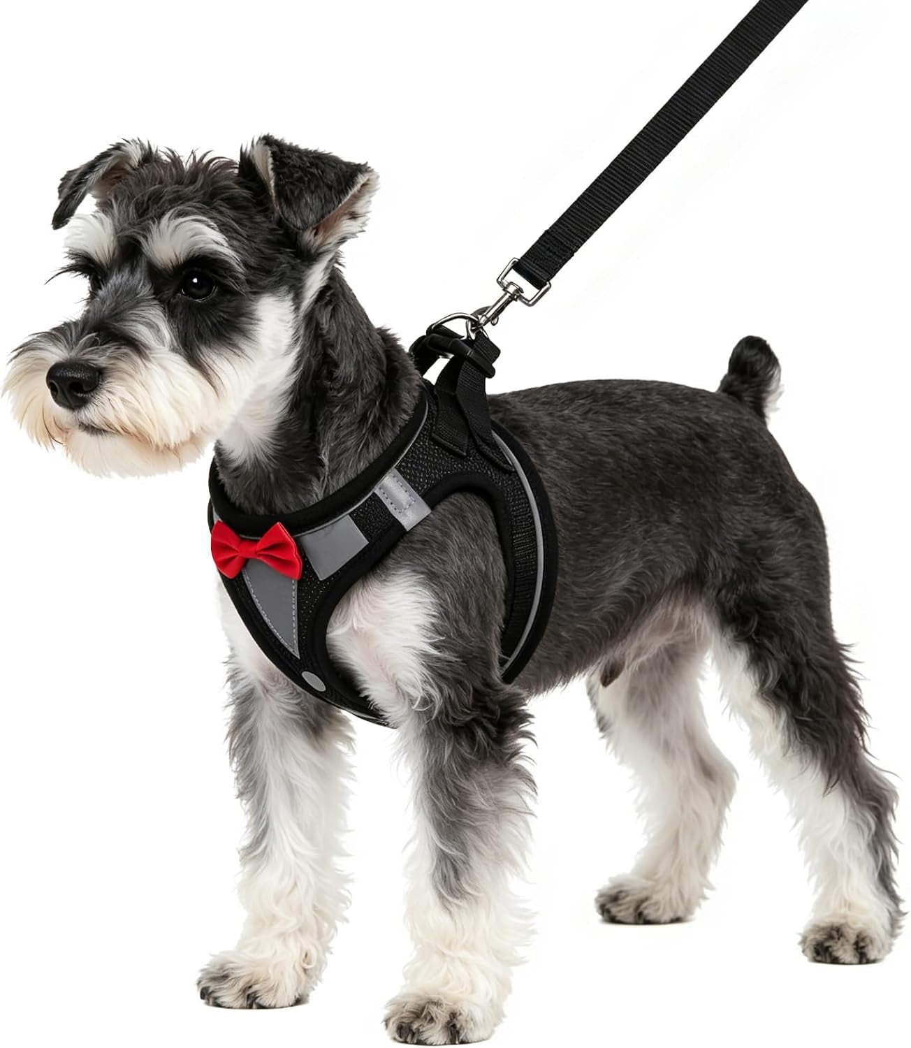 pupteck-dog-harness-and-leash-set-for-small-medium-dogs-no-pull-step-in-soft-mesh-puppy-cat-vest-harnesses-reflective-at-night-green-s