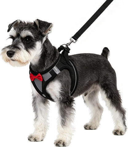 PUPTECK Dog Harness and Leash Set for Small Medium Dogs No Pull Step-In Soft Mesh Puppy Cat Vest Harnesses Reflective at Night, Green S43