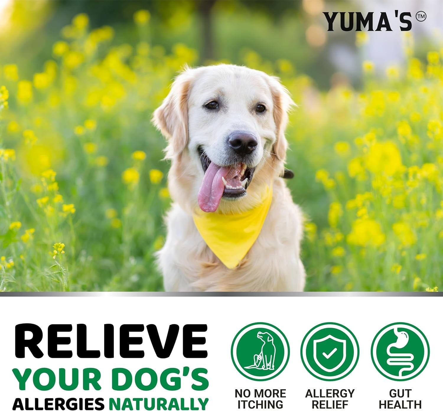 dog-allergy-relief-chews-dog-itching-skin-relief-treatment-pills-170-treats-anti-itch-itchy-and-paw-licking-hot-spots-omega-3-fish-oil-dry-skin-coat-supplement-beef-liver-flavor