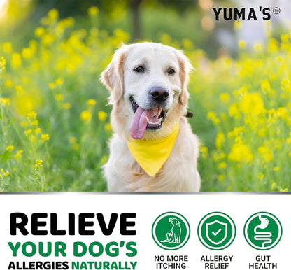 Dog Allergy Relief Chews - Dog Itching Skin Relief Treatment Pills - 170 Treats - Anti-Itch Chewables - Itchy and Paw Licking - Hot Spots - Omega 3 Fish Oil - Dry Skin & Coat Supplement5
