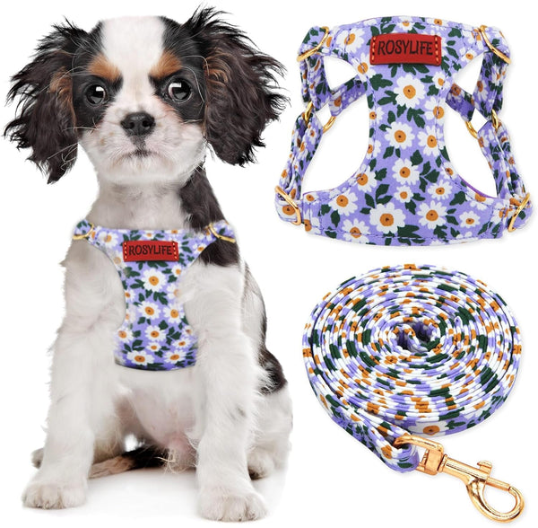 No Pull Dog Harness & Leash Set, Adjustable Xx-Small, Pink Daisy, Fashionable, Cute, Stylish, Escape Proof, Includes Leash7