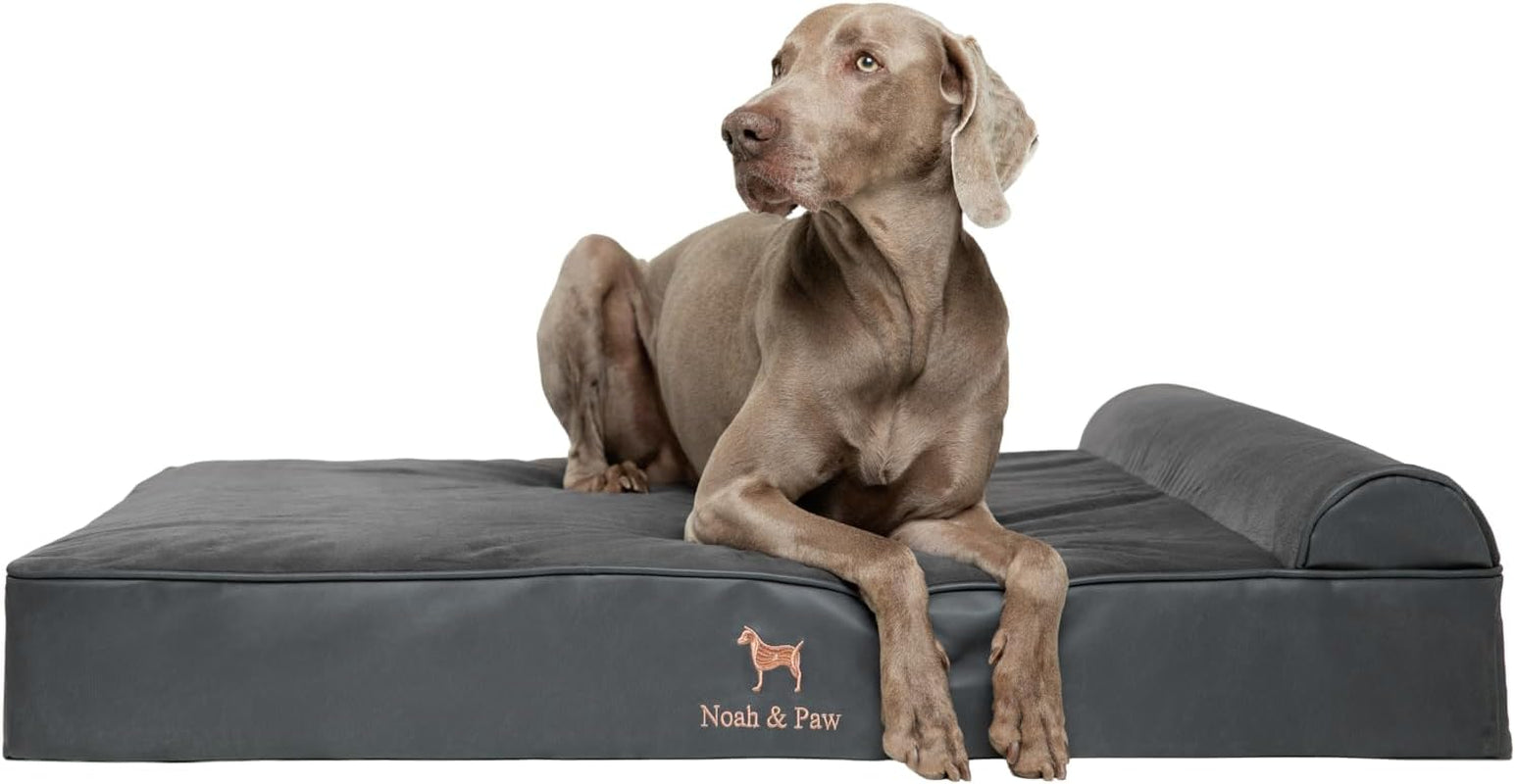 noah-paw-large-dog-bed-35x25x8-7-inch-orthopedic-dog-beds-eggshell-memory-foam-infused-with-cooling-gel-water-resistant-machine-washable-includes-inner-cover-velvet-collection