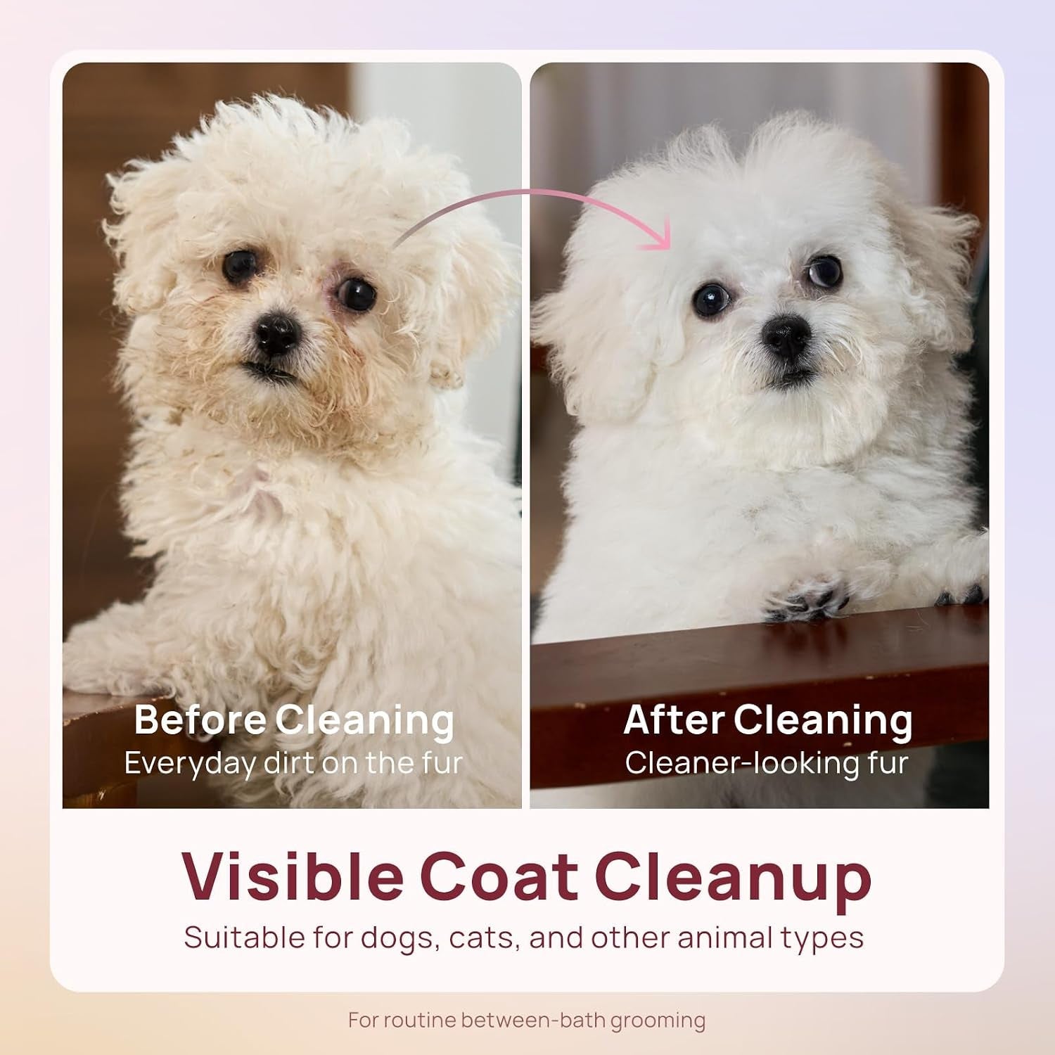 hicc-pet-pet-cleaning-wipes-for-dogs-cats-paws-coat-100-count-pearl-textured-with-fermented-coconut-oil-and-damask-rose-for-face-and-rear-end-cleaning-after-walks-or-between-baths