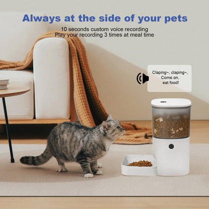 Automatic Cat Feeder, 4L Cat Food Dispenser with 10S Voice Recorder, Pet Feeder up to 8 Meals per Day, Timed Dog Feeder with Dry Food Sealed Ring6