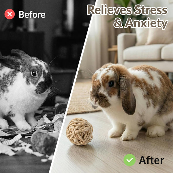11 Pcs Rabbit Chew Toys, Interactive Bunny Foraging Toy, Natural Materials, Loofah Sponges, Seagrass Balls, Dental Cleaning, Relieve Stress4
