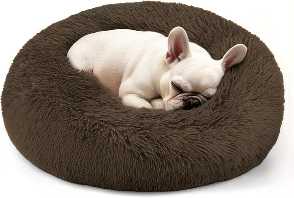 Hoewina Dog & Cat Bed for Indoor Cats, 20In Calming Donut Bed for Puppy and Kitten, Washable round Fluffy Pet Bed for Small Medium Dogs and Cats (Light Grey)10