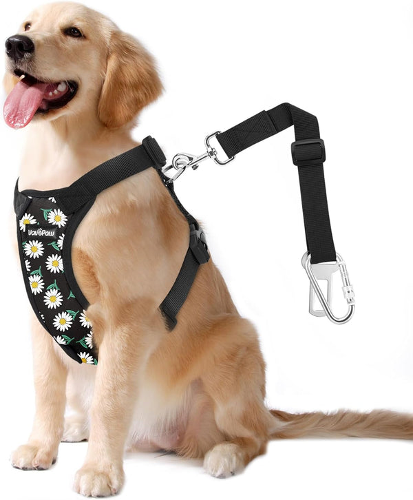 Vavopaw Dog Seat Belt Vest Harness for Car,2 in 1 Seatbelt Buckle | Soft Breathable Mesh,Adjustable Buckle,Nylon,Heavy Duty Pet Safety Seat Belts for Small Medium Large Pets,Black,L31