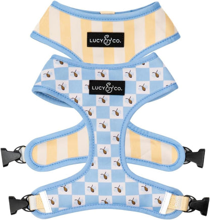 Lucy & Co. Reversible Dog Harness - Water-Repellent Neoprene, Dual-Print Design, Easy Swap Style, Adjustable Comfort Fit - Take a Bow Reversible Harness - Small33